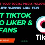 Best TikTok Auto Followers Likers & Views 2023