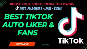 Best TikTok Auto Followers Likers & Views 2023