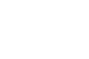 dfl 26 logo white