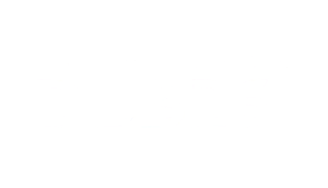 DLS 26 LOGO